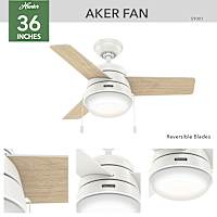Hunter Aker with LED Light 36 inch – Hunter Fan